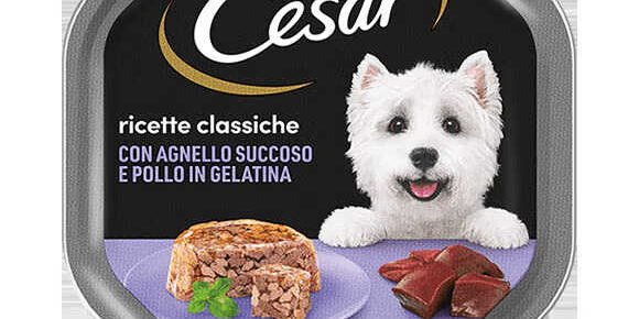 Recensione scatoletta Cesar ricette classiche agnello e pollo in gelatina per cani
