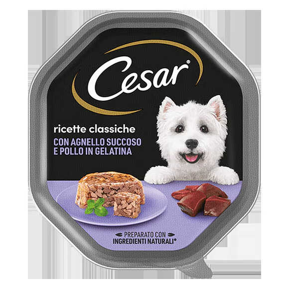 Cesar Ricette Classiche Agnello e Pollo in gelatina Recensione scatoletta Cesar ricette classiche agnello e pollo in gelatina per cani