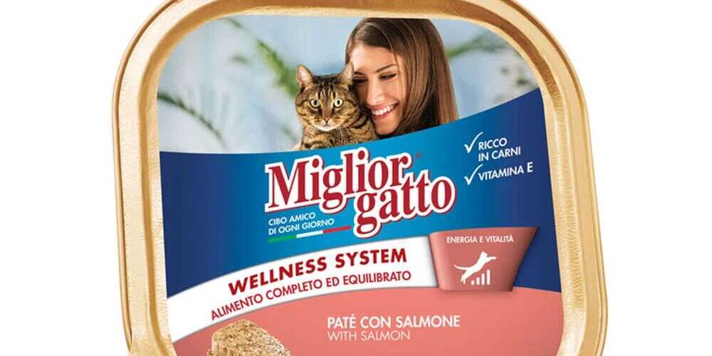 Recensione Patè con salmone - Miglior gatto