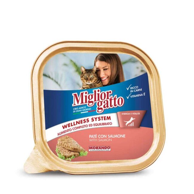 Recensione Patè con salmone - Miglior gatto