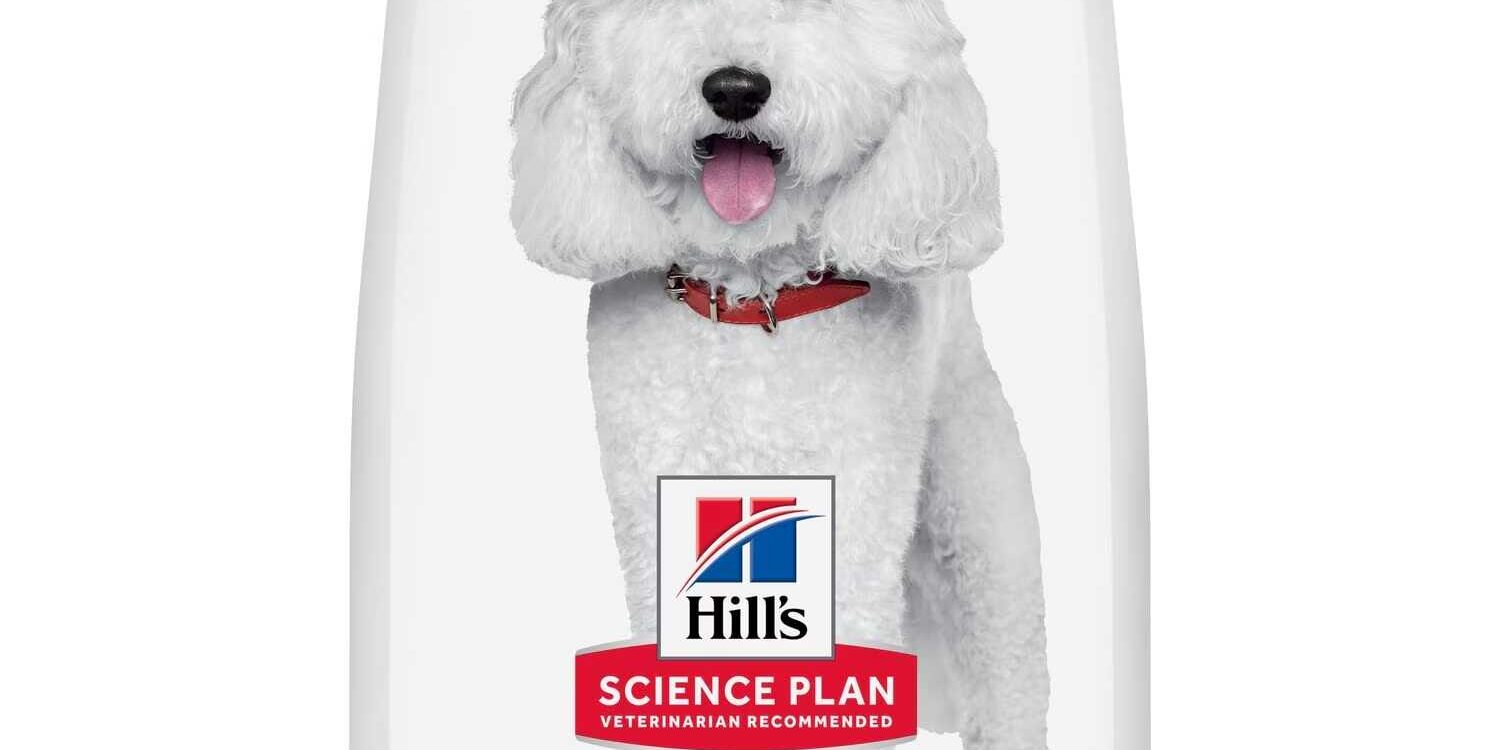 Hhypoallergenic adult medium alimento per cani con salmone – Hill’s Science Plan Hhypoallergenic adult medium alimento per cani con salmone - Hill's Science Plan