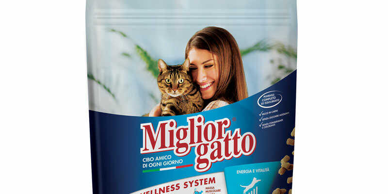 Miglior gatto ADULT