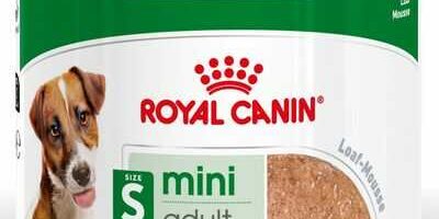 Recensione scatoletta di mini adult in patè – Royal canin