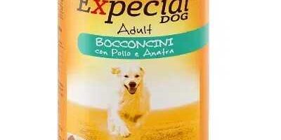 Recensione expecial dog lattina per cani adulti - Arcaplanet