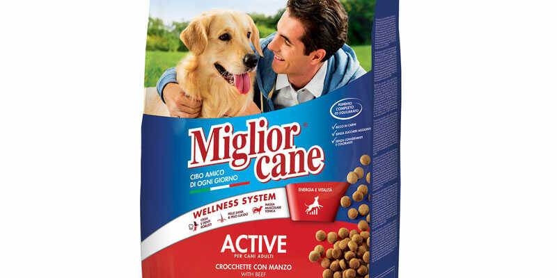 miglior cane ACTIVE CROCCHETTE Recensione della confezione Active crocchette con manzo Miglior cane