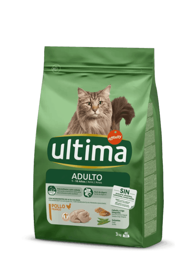 ultima gatto adulto con pollo Recensione confezione di crocchette adulto con pollo per gatti - Ultima