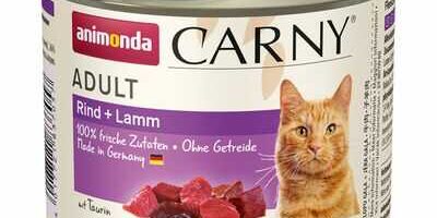 Carny beef – gatto Animonda Recensione lattina di Carny beef - gatto Animonda