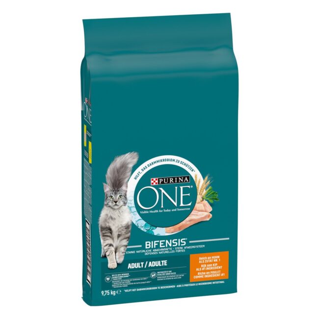 PURINA ONE BIFENSIS Crocchette Gatto Recensione crocchette Purina one bifensis - gatto