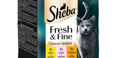 Recensione confezione SHEBA Delices du Jour
