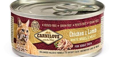 Chicken & Lamb for adult cats – Carnilove Recensione Chicken & Lamb for adult cats – Carnilove. Cibo umido per gatti