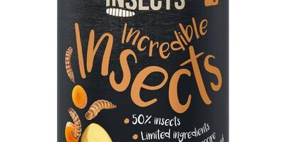 Recensione Greenwoods Insects cibo umido per cani