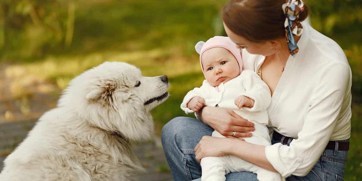 bimbo arrivo con cane cane con mamma e neonato