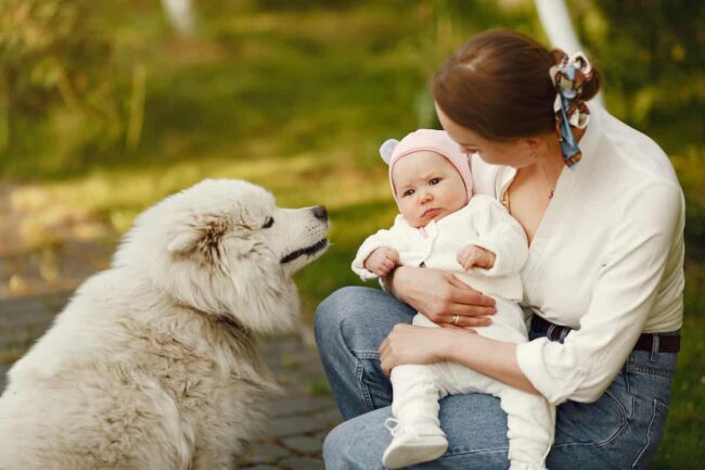 cane con mamma e neonato
