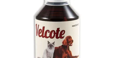 velcote GRAU Velcote per pelle e pelo