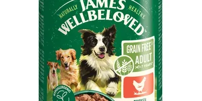 wellbeloved patè per cane