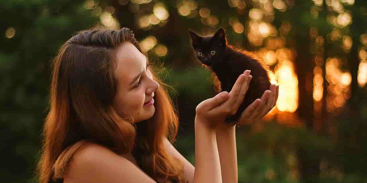 Come socializzare un gattino gattino in braccio ad una ragazza