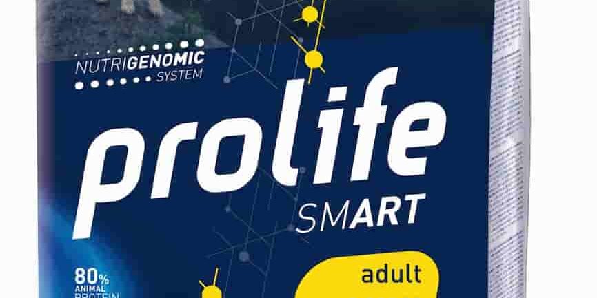 Smart Adult Chicken & Rice – Mini – Prolife Crocchette Smart Adult Chicken & Rice - Mini - Prolife
