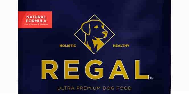 Adult-Ocean crocchette Adult Ocean Recipe (Salmone) - Regal Pet Food per cani