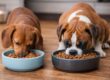 bassotto e boxer che mangiano
