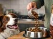 verifica calorie cibo per cane