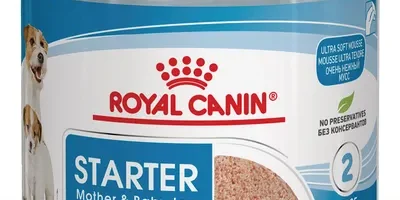 Royal Canin Starter Mousse cagna e cuccioli