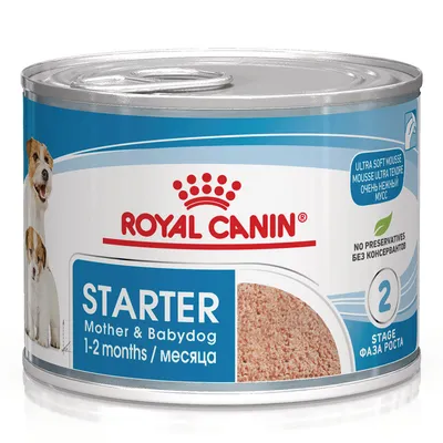 Royal Canin Starter Mousse cagna e cuccioli