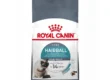 crocchette Royal Canin Hairball Care - gatti
